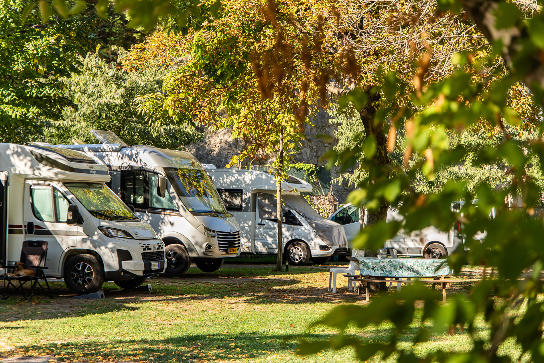 Camping Grumèl tra gli ulivi